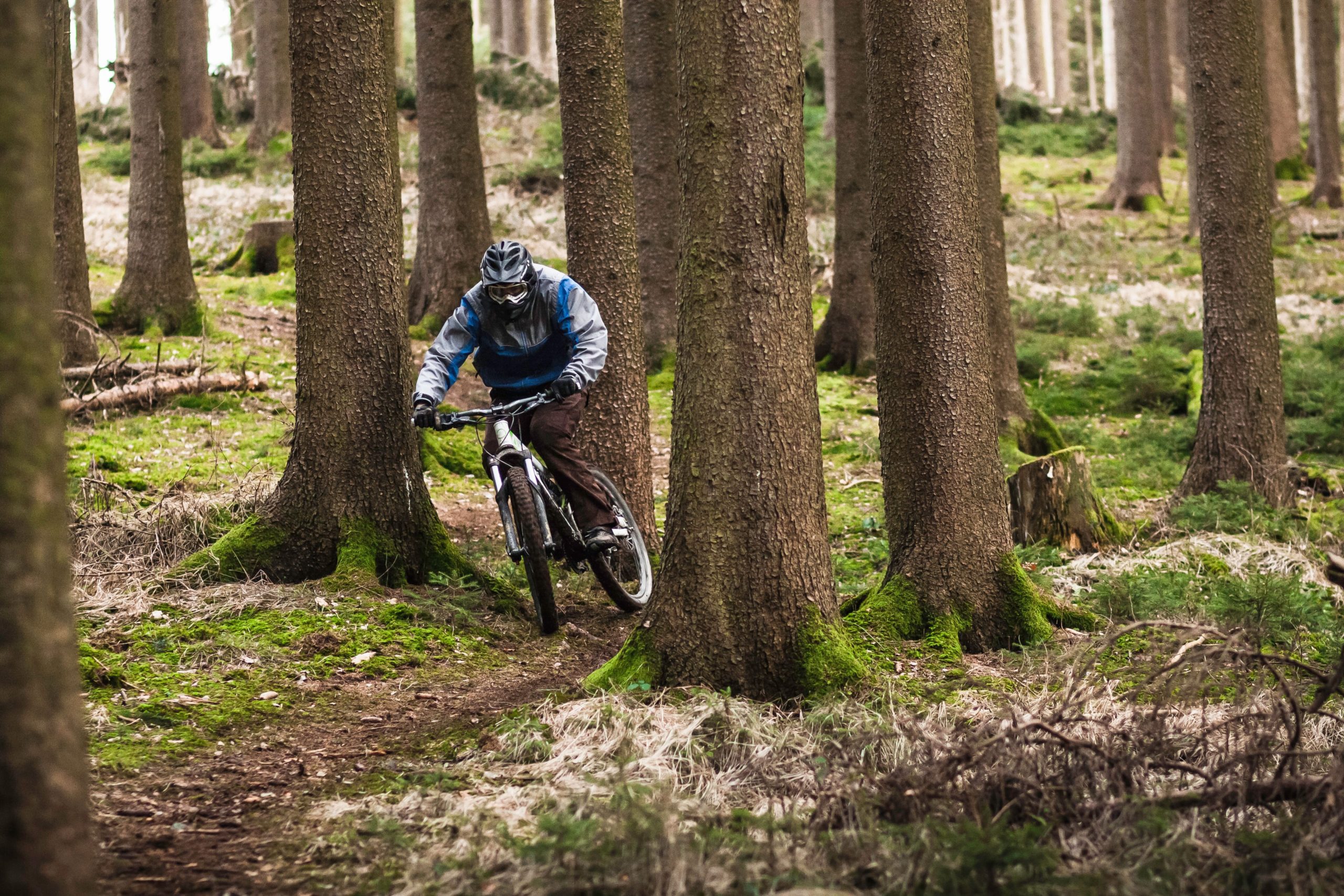 young-male-on-mountain-bike-riding-through-forest-2022-03-04-01-46-40-utc